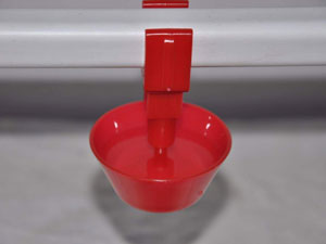 Waterer Bowl